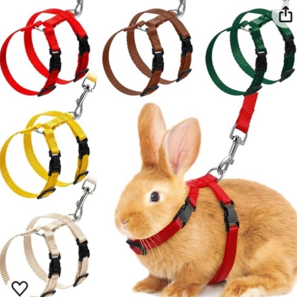 SMALL PET LEASH - Picture 1 of 5